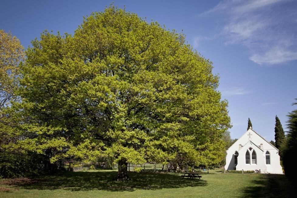 The Holy Oaks Villa Duntroon Eksteriør billede